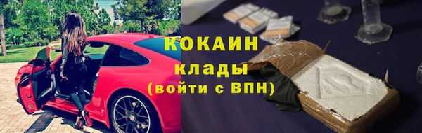 молекула духа Алексин
