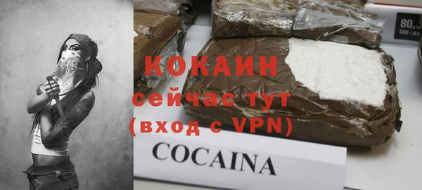 тгк Алзамай