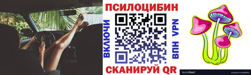 закладки  ОМГ ОМГ маркетплейс  Галлюциногенные грибы Psilocybine cubensis  Скопин 